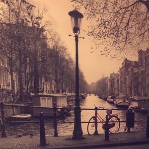 Meet your Posher, Priscilla